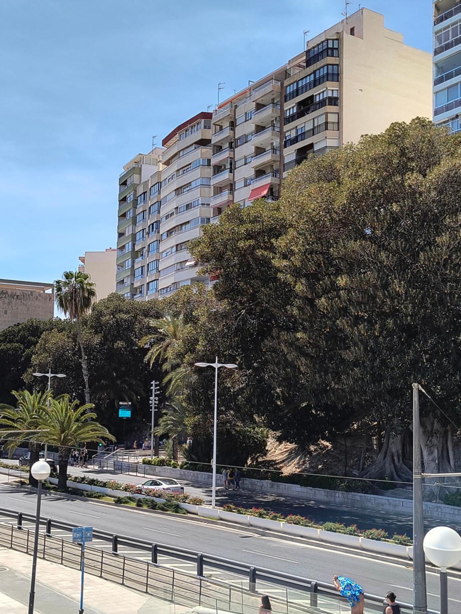 Apartamento Playa Аликанте Екстериор снимка